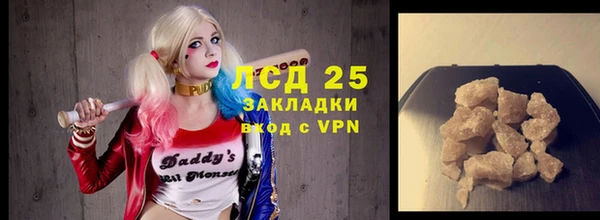 гидра Ахтубинск