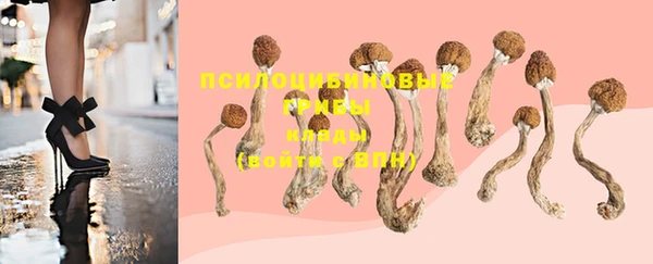 2c-b Нефтегорск
