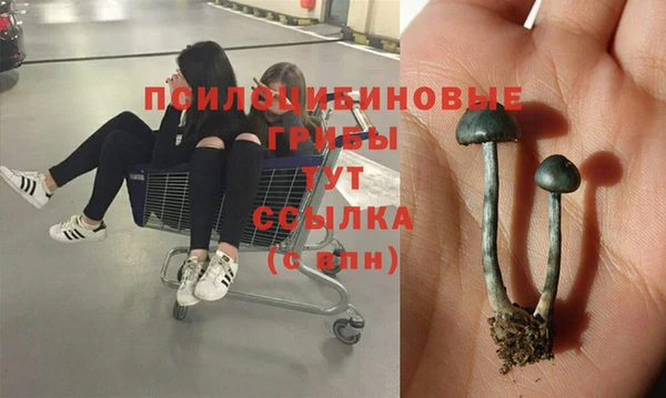 экстази Нея